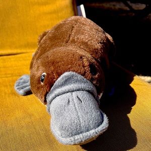Darling Platypus by Wild Republic looks brand new